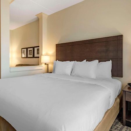 Comfort Inn & Suites Pittsburgh-Northshore Exterior photo